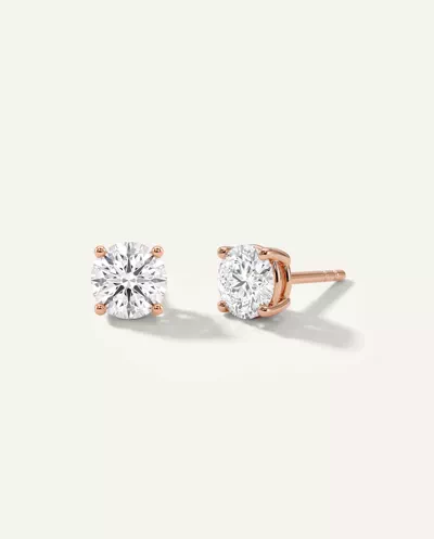 Four-Prong Guardian Back Earrings