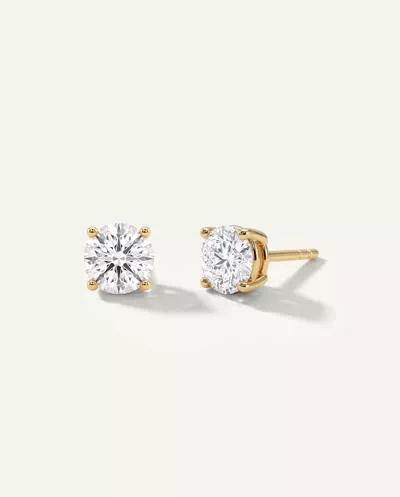 Four-Prong Guardian Back Earrings
