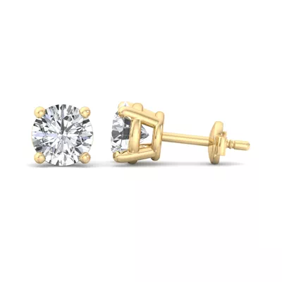 Four-Prong Guardian Back Earrings