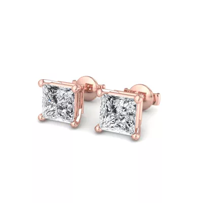 Fancy Shape Guardian Back Earrings