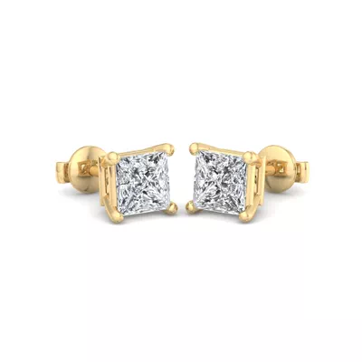 Fancy Shape Guardian Back Earrings