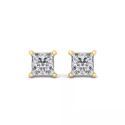 Fancy Shape Guardian Back Earrings