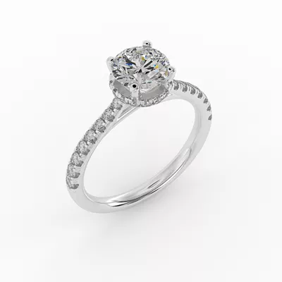 Amora Hidden Halo Engagement Ring