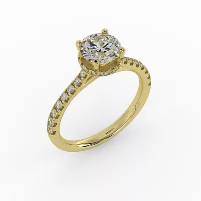 Amora Hidden Halo Engagement Ring