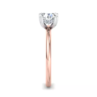 Virginia Double Prong Hidden Halo Engagement Ring