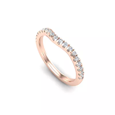 Mary Pave Band