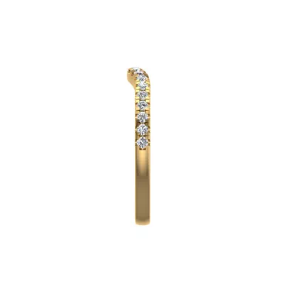 Mary Pave Band