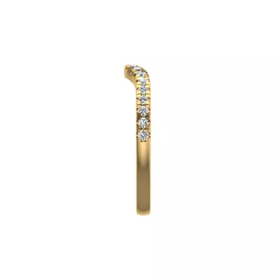 Eden Pave Band
