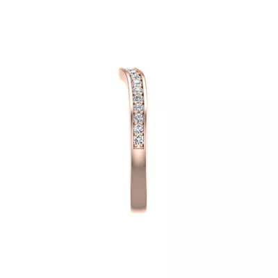 Alina Pave Band