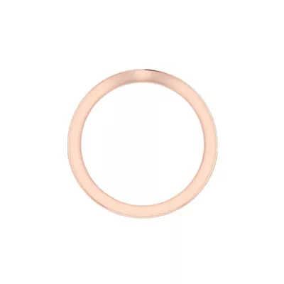 Alina Pave Band