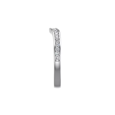 Alina Pave Band
