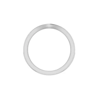 Alina Pave Band