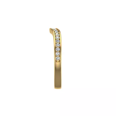 Alina Pave Band