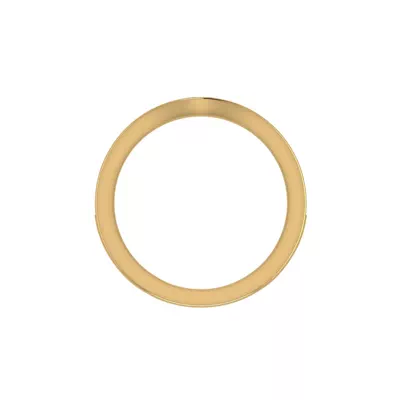 Alina Pave Band