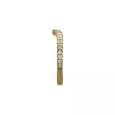 Harmony Pave Band