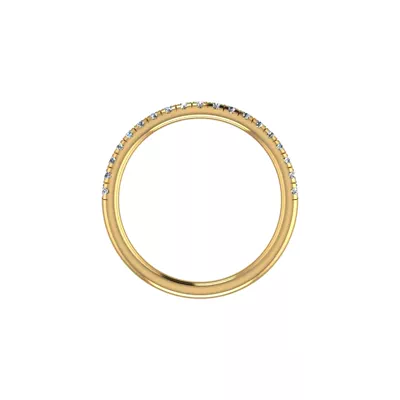 Alaya Pave Band
