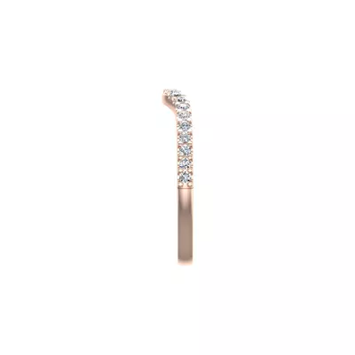 Daleyza Pave Band