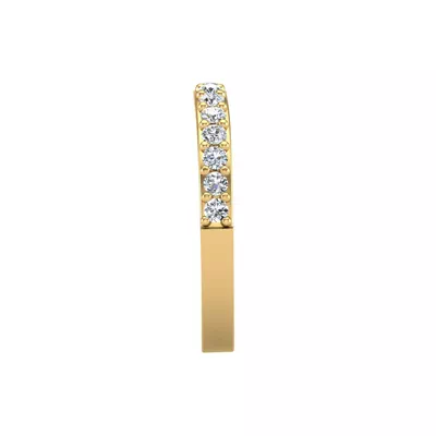Alana Pave Lab Band