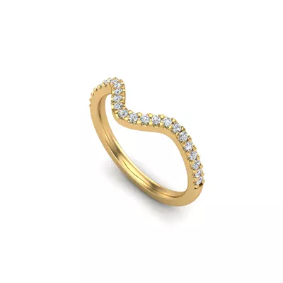 Adriana Pave Band