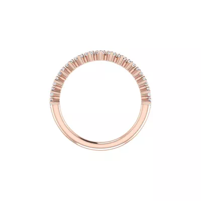 Aniya Pave Band