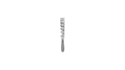 Aniya Pave Band
