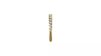Aniya Pave Band