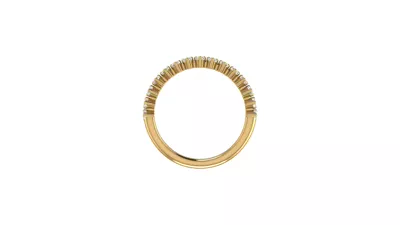 Aniya Pave Band