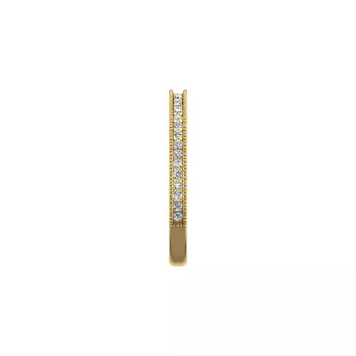 Winter Pave Band
