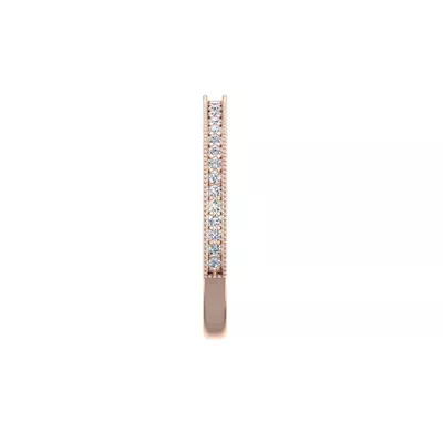 Veronica Pave Band