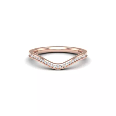 Nina Pave Band