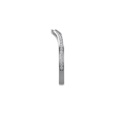 Nina Pave Band