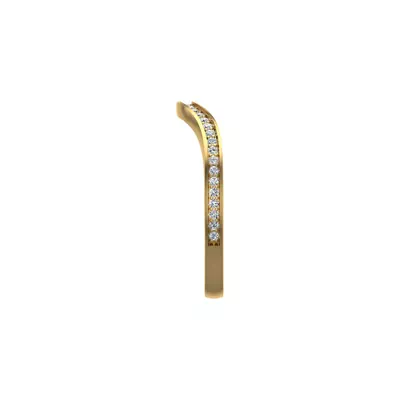 Nina Pave Band