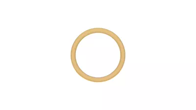 Brynn Pave Band