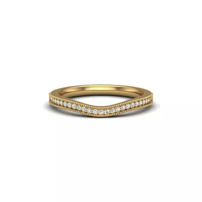 Selena Pave Band