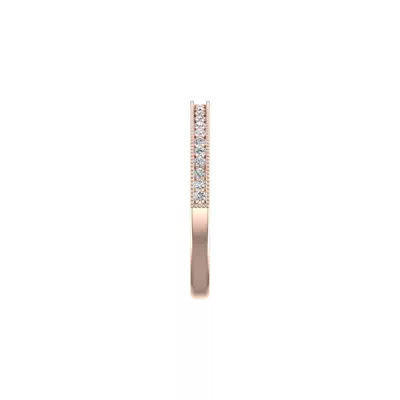 Diana Pave Band