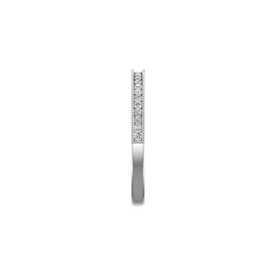 Diana Pave Band