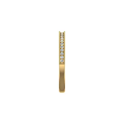 Diana Pave Band