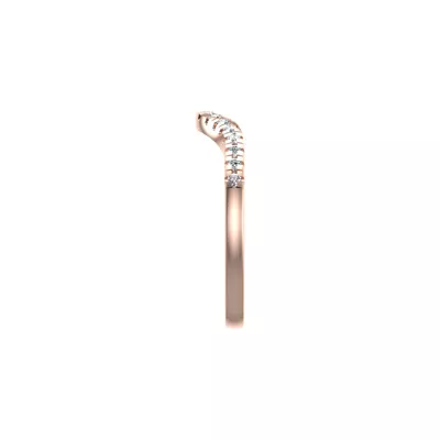 Ana Pave Band