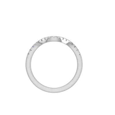 Ana Pave Band