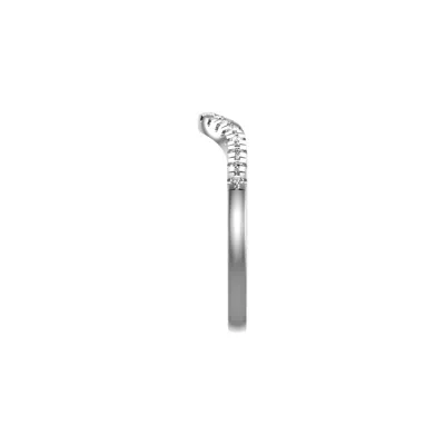 Ana Pave Band