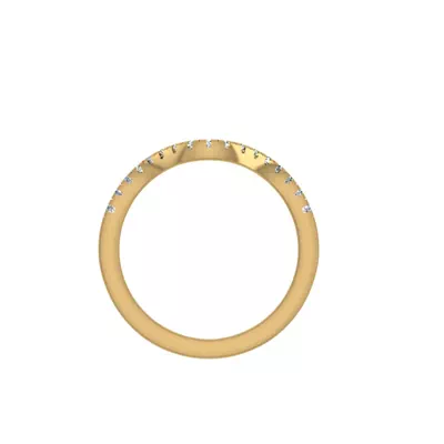 Ana Pave Band