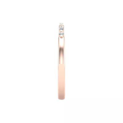 Nyla Pave Band