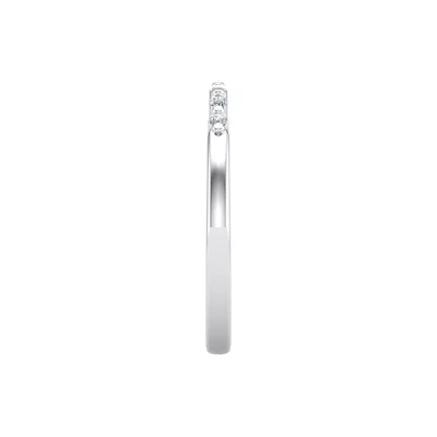 Nyla Pave Band