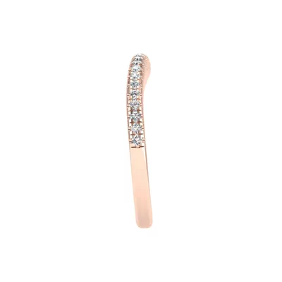 Elaina Pave Band