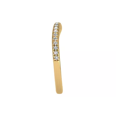 Elaina Pave Band