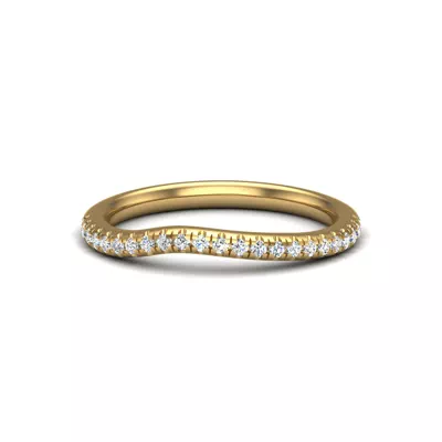 Elaina Pave Band