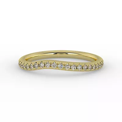 Elaina Pave Band
