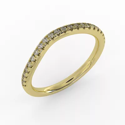 Elaina Pave Band