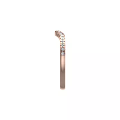 Palmer Pave Band