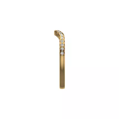 Palmer Pave Band